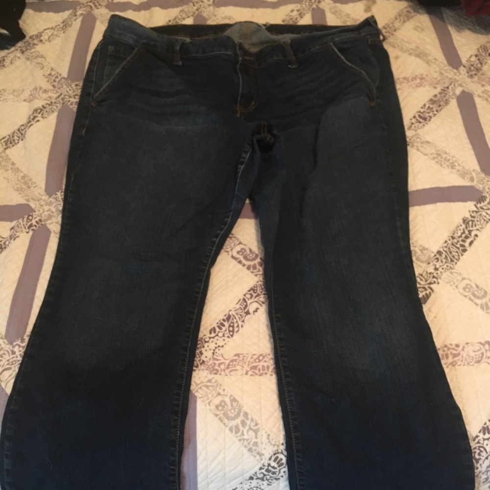 Torrid 24